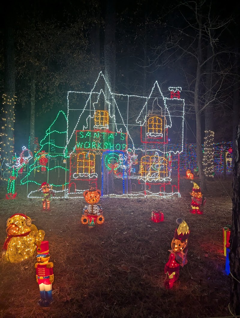 Lights 4 Paws