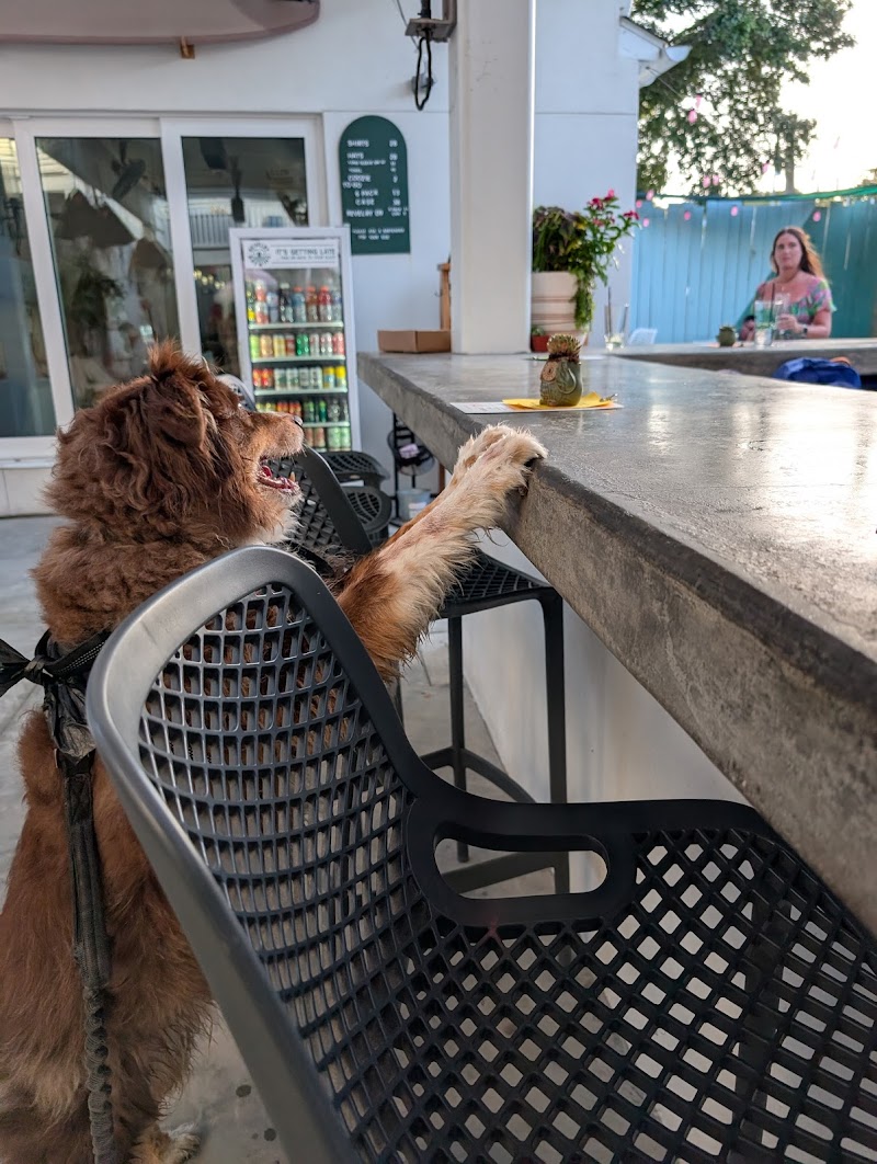 Revelry Brewing - Folly Beach